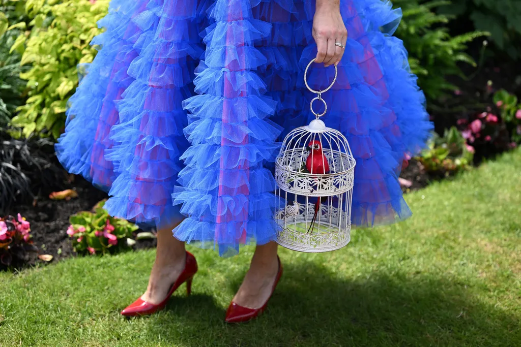 royal ascot derby, royalascotderby, 2025.