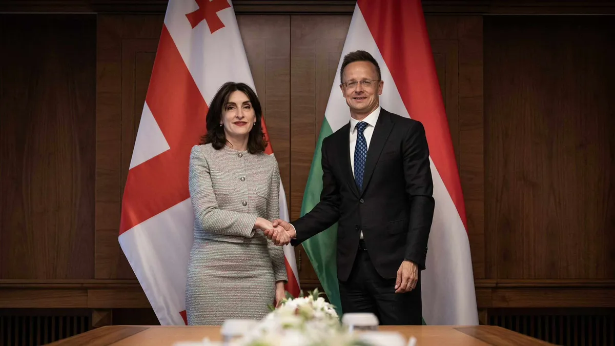 Szijjártó Péter: Georgia a legjobb példa Brüsszel kétszínűségére és kettős mércéjére