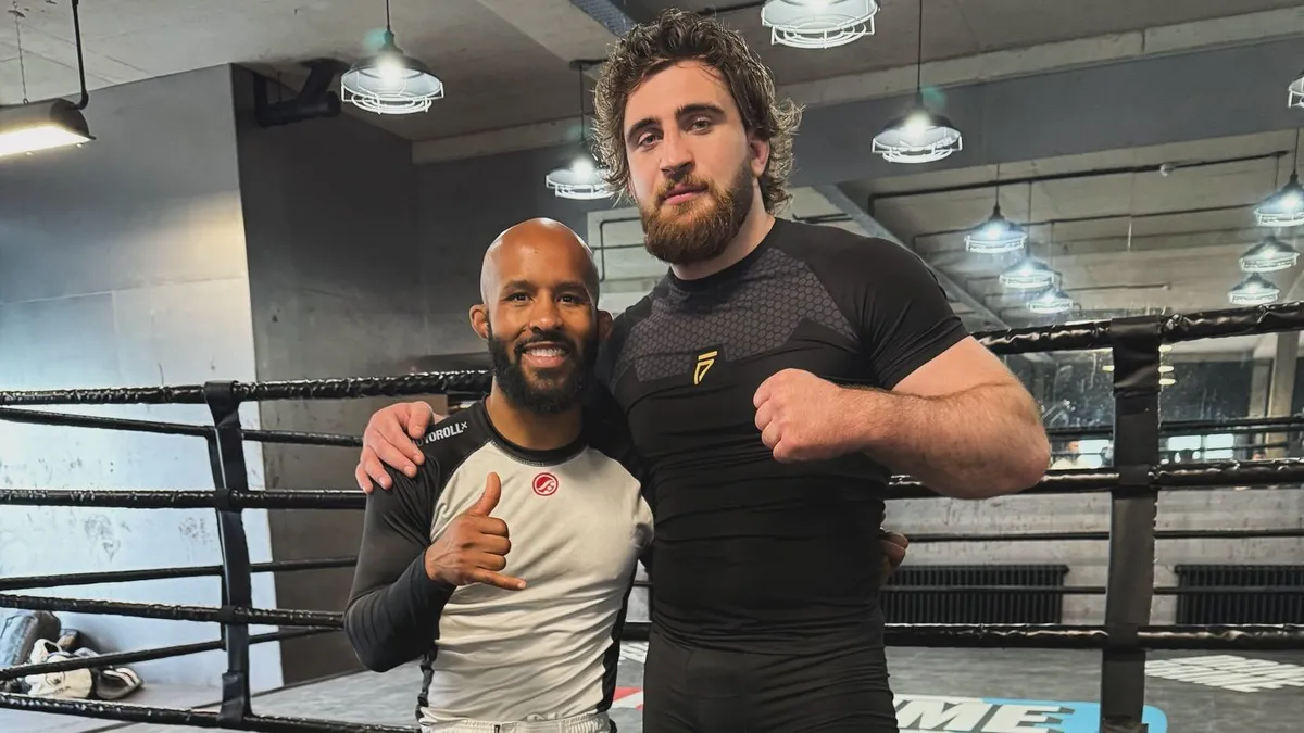 Növényi Norbert, MMA, ketrecharc