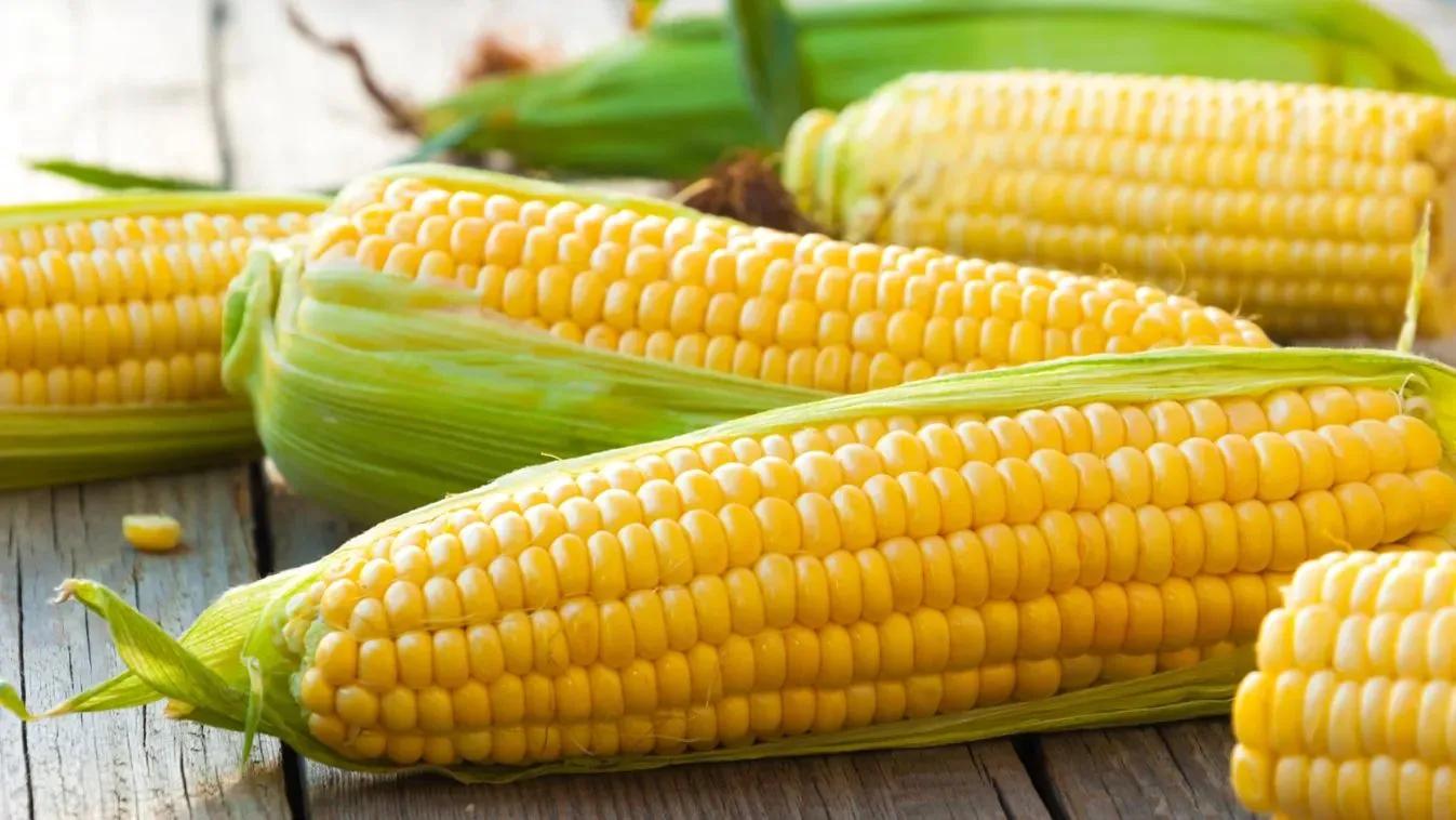 Fogyóban a csemegekukorica – sietniük kell, ha még szeretnének belőle Kép