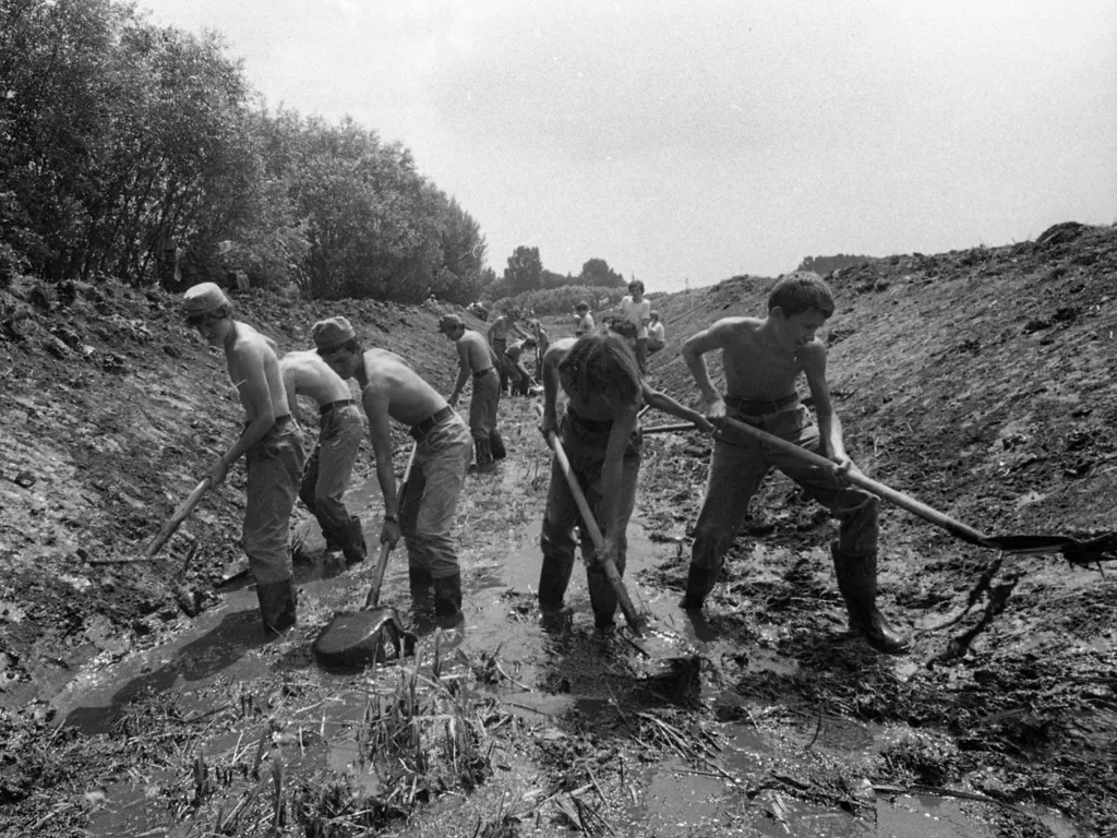Így táboroztak a gyerekek régen, úttörőtábor, építőtábor, archív, összeállítás, úttörőtáborépítőtábor, 2025