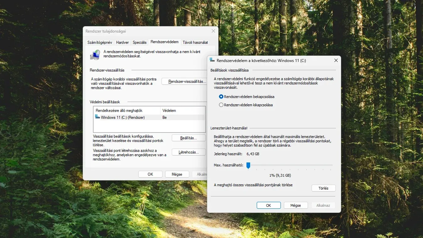 Csökkent a Windows 11 helypazarlása Kép