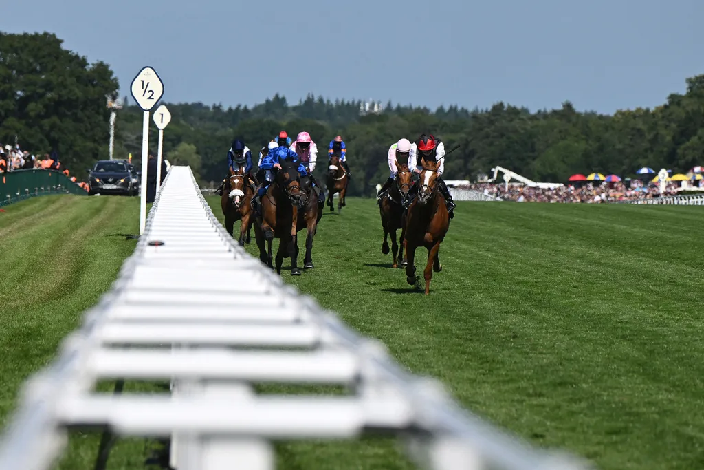 Royal Ascoti derby, RoyalAscotiderby, 2025.