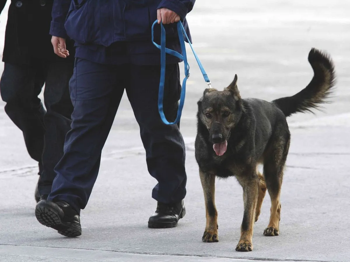 katonai robbanóanyagot találtak Kaposváron egy lakásban