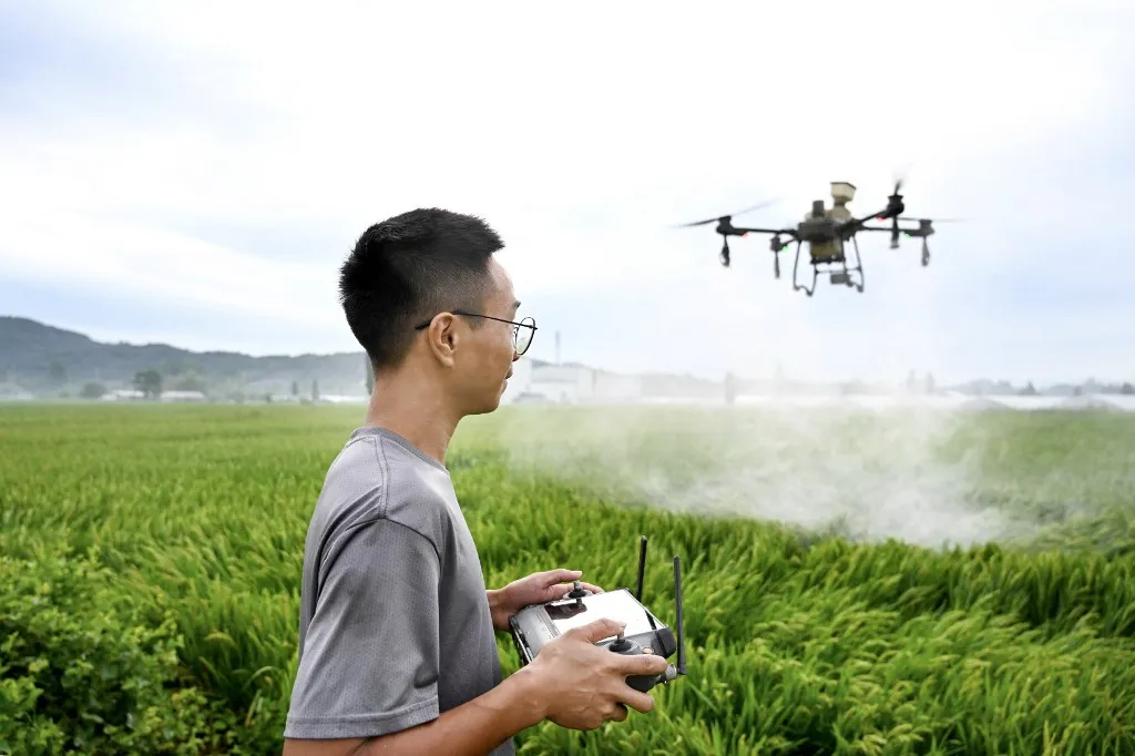 A farmer uses a drone to spray pesticides and fertilizers on a rice crop in Jinhua, in Chinas eastern Zhejiang province on June 20, 2025. (Photo by AFP) / China OUT drón