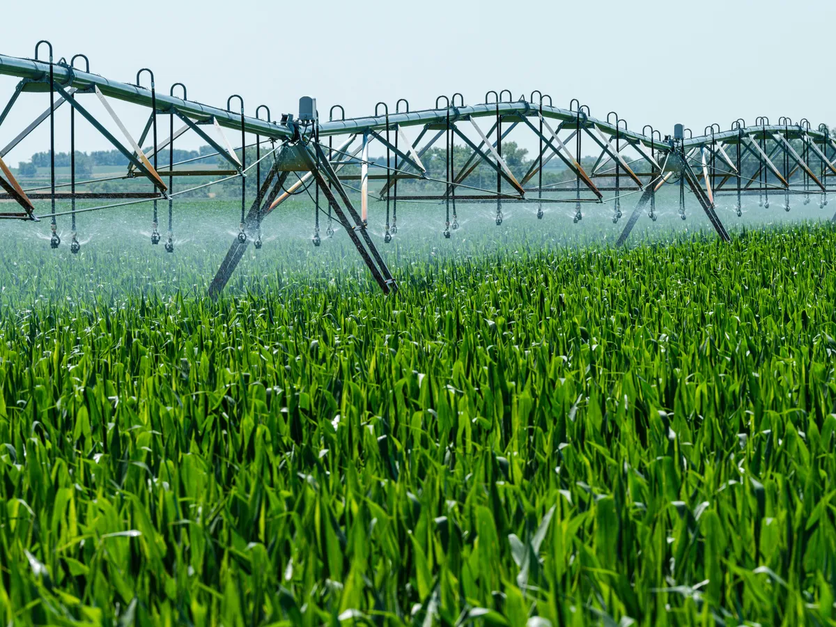 Újabb, a gazdákat támogató intézkedés, most 2 milliárd forint értékben.  (illusztráció) / Forrás: Unsplash