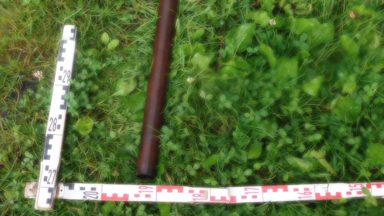 Ítéletet hoztak az élettársa koponyáját egy vascsővel szétzúzó férfi ügyében Kép