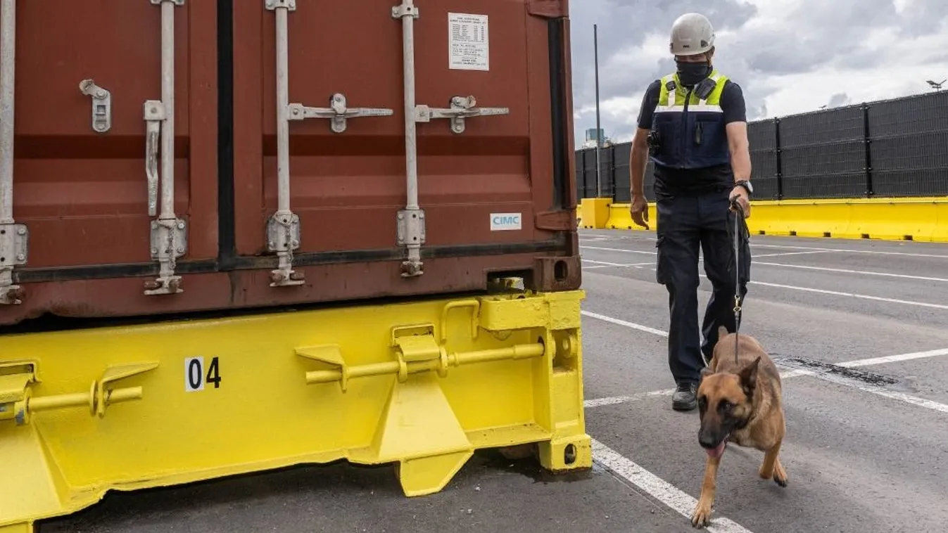 Több mint 16 tonna kokaint foglaltak le Antwerpen kikötőjében az idén Kép