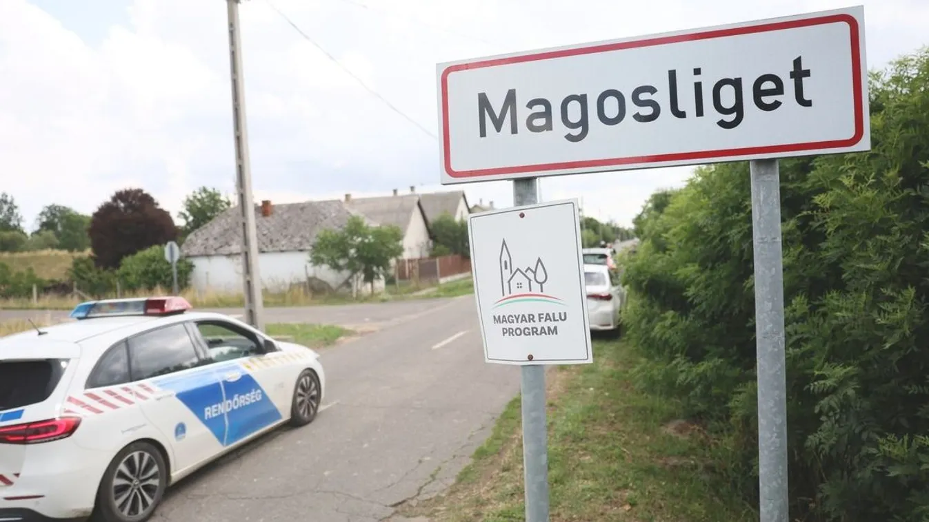 Fékezés nélkül: felismerhetetlenségig összeroncsolódott és kiégett az autó Kép