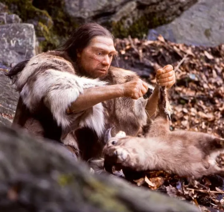 Egy neandervölgyi ember rekonstrukciója, amin megöl egy  kecskét, a Neandervölgyi Múzeumban Németországban, Mettmanban.