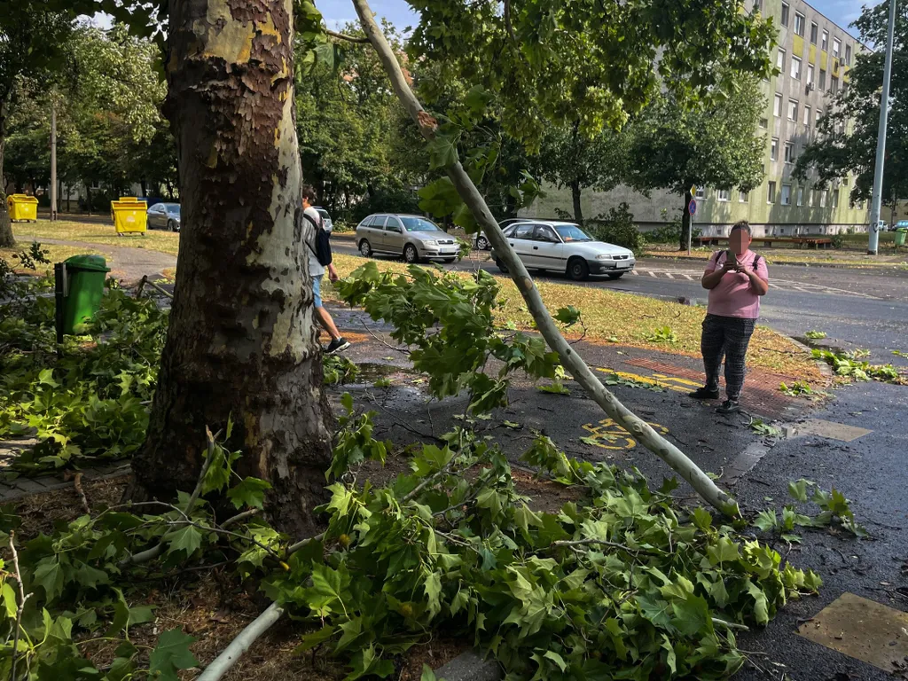 Vihar, zivatar, időjárás, ítéletidő, eső, Magyarország, viharMagyarország, 2025.07.07., Szeged