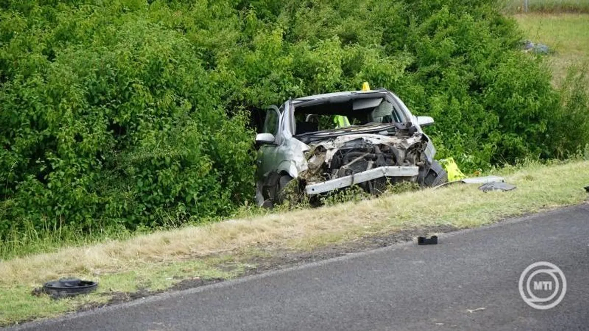 Kisgyerekes apuka halt szörnyet az M3-ason