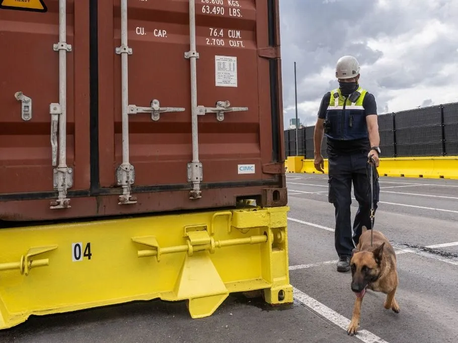 drogcsempészet, Több mint 16 tonna kokaint foglaltak le Antwerpen kikötőjében az idén