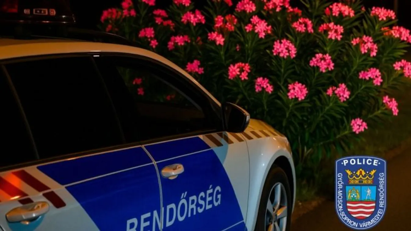 Cserepes leanderek mögé próbált meg elbújni az ittas sofőr Kép