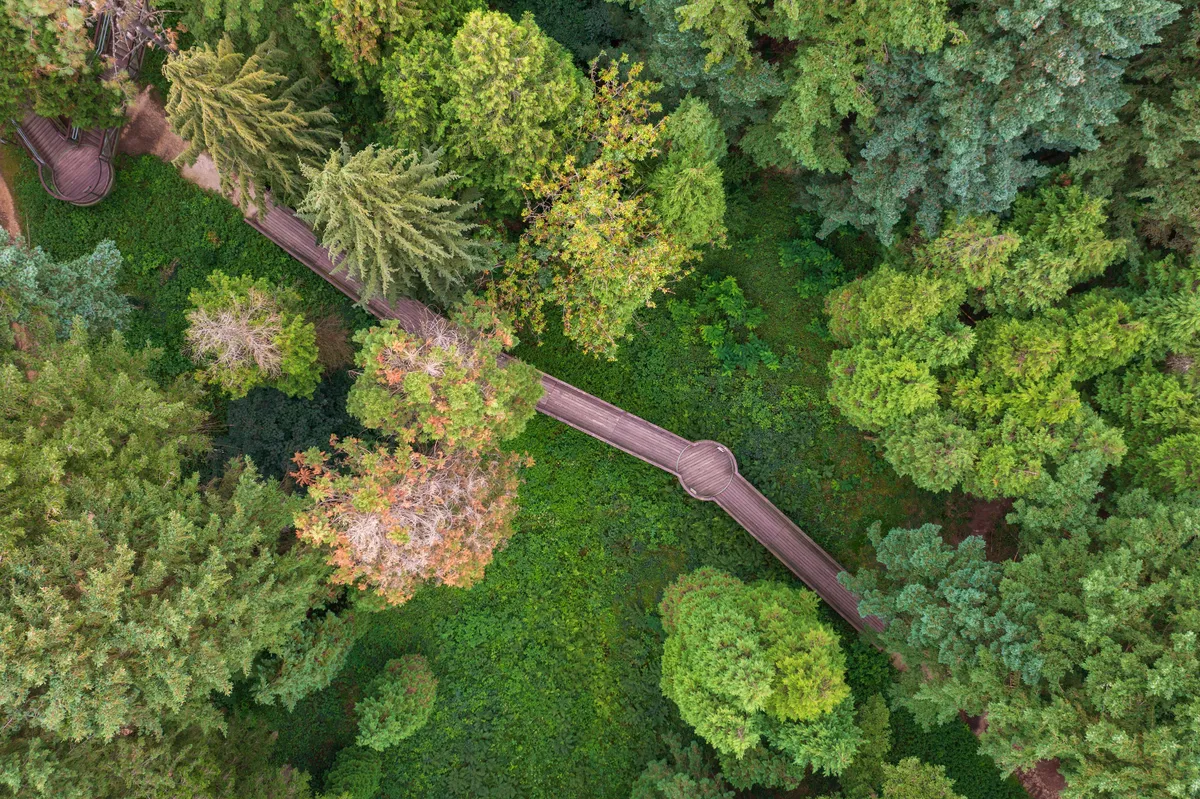 Kám, Hungary - Aerial top down view about the Jeli Arboretum canopy walkway