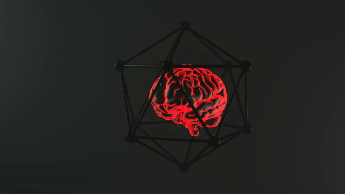 A világ legrövidebb IQ-tesztje, mégis sokan elrontják Kép