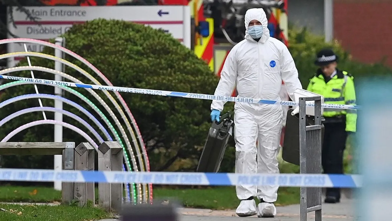 Rejtélyes holttestekre bukkant a rendőrség egy erdőben Kép