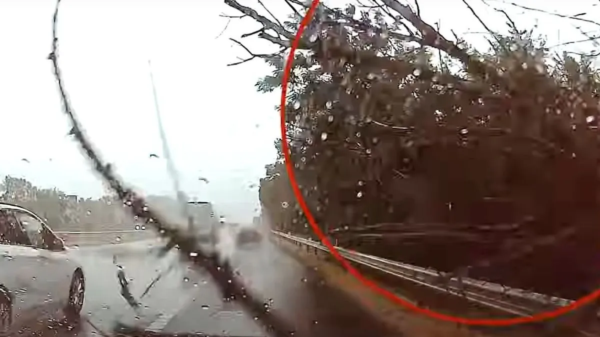 Sokkoló videó: így dőlt rá egy fa az autózó családra a hatalmas viharban