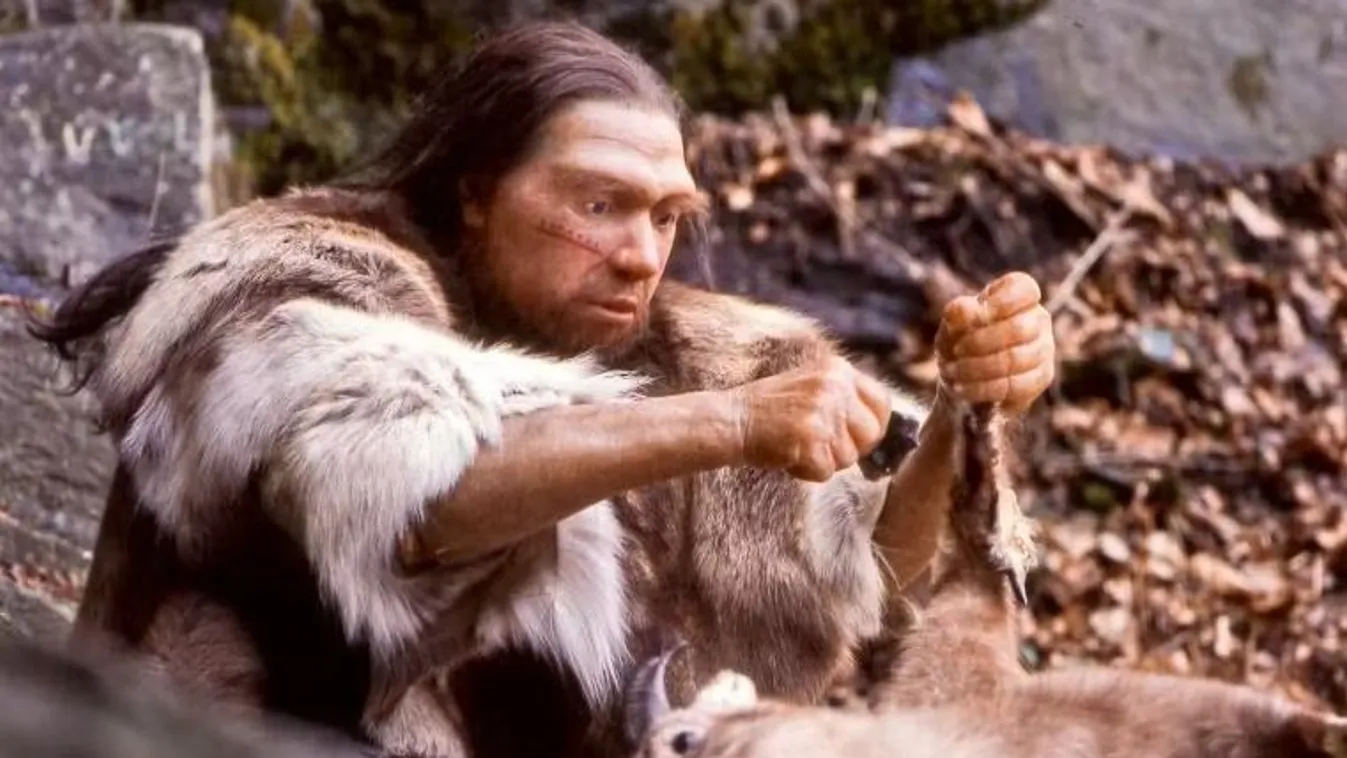 Férgekkel  és rothadt hússal táplálkoztak a neandervölgyi emberek Kép