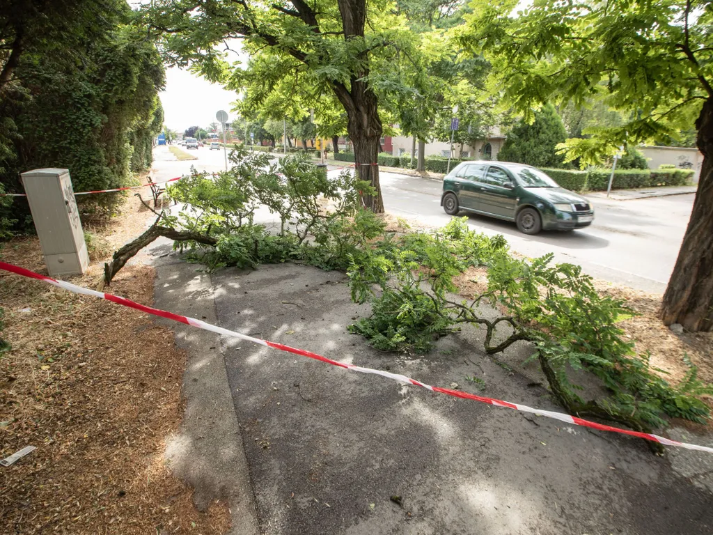 Vihar, zivatar, időjárás, ítéletidő, eső, Magyarország, viharMagyarország, 2025.07.07., Székesfehérvár