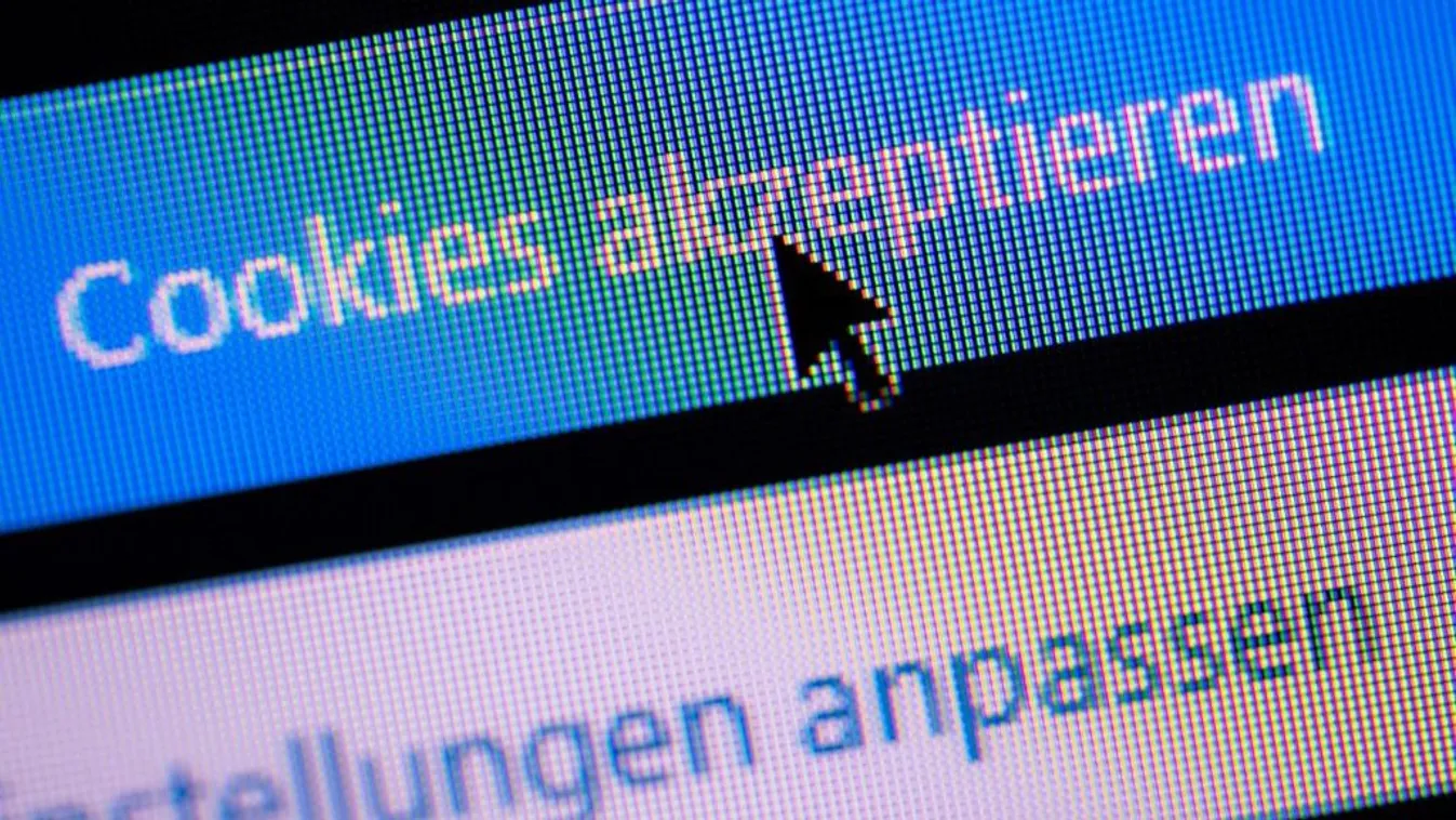 Figyelem! A sütik engedélyezése veszélyes lehet Kép