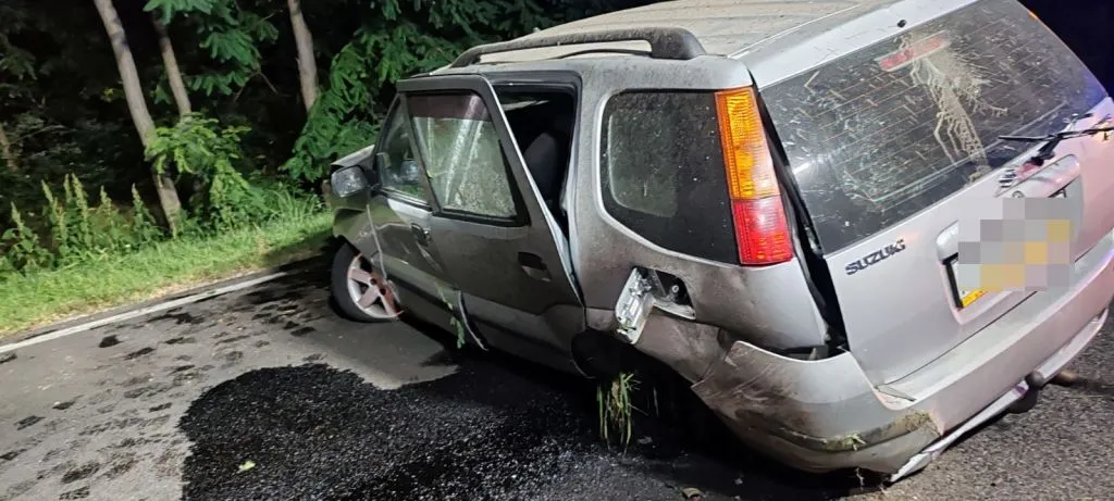 A lepattant Suzuki sofőrje gázt adott, megpróbált elmenekülni a rendőrök elől