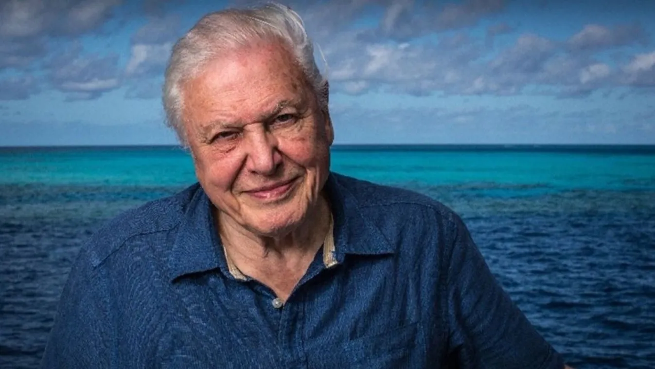 Sir David Attenborough két lenyűgöző dokumentumfilmmel is visszatér a Viasat Nature műsorára Kép