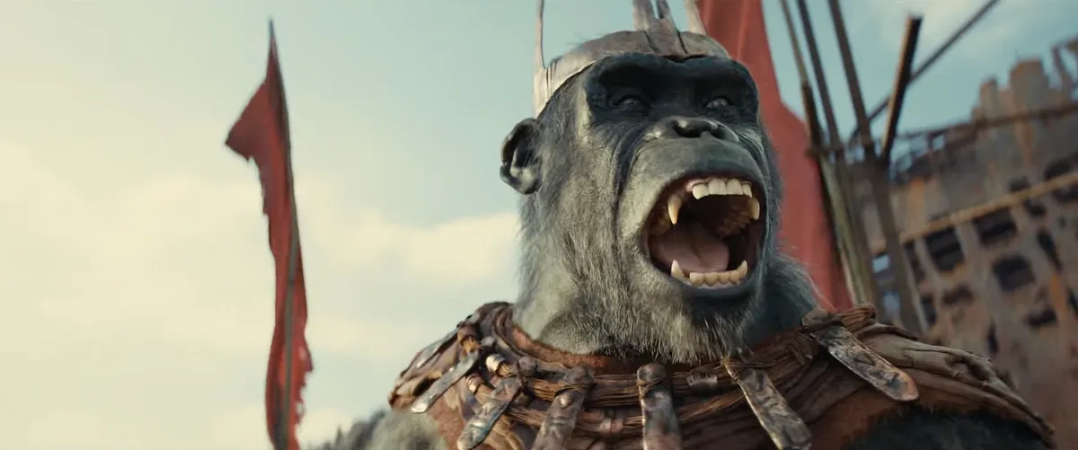 Wednesday, Trailer du film "La Planète des Singes : Le Nouveau Royaume" Pictures must credit: 20th Century Fox A world run by apes while humans forage for food and are hunted down as vermin , is revealed in the full trailer for a new Planet of the Apes movie sequel. The movie, due out in the spring of next year, is set following the reign of Caesar, chimp that was the focal point of three previous films — Rise, Dawn and War. The trailer forKingdom of the Planet of Apes, opens with a long chimpanzee on a horse waiting for a trained eagle to fly down and perch on his arm. It is believed to be Cornelius, the son of Caesar, played by Black Mirror and Bloodline TV actor Owen Teague. A voice over says:” When I sleep, I see strange things. Not memories, new things. I see everything.” It is then revealed that the same chimp is talking to an orangutan who replies with a laugh:” That is not everything.” There follow scenes that include humans running from apes on horseback who are trying to capture them.