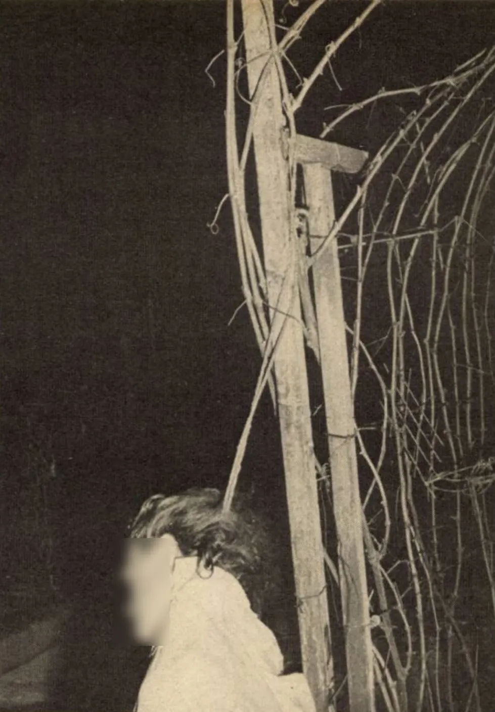 Felakasztotta a kétgyerekes dunaújvárosi családanya holttestét a gyilkosa