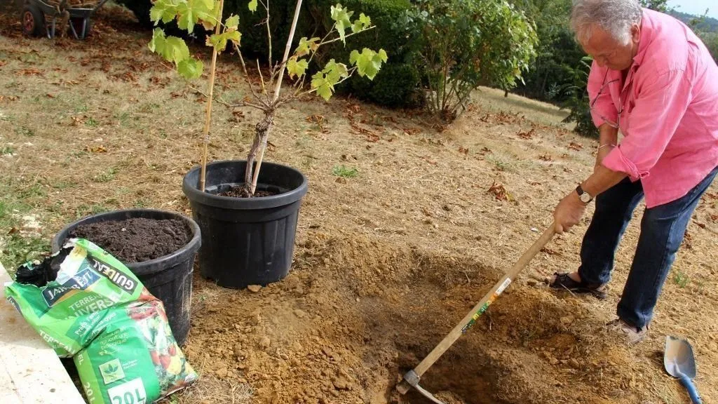 Idős korban is jót tesz a kertészkedés.