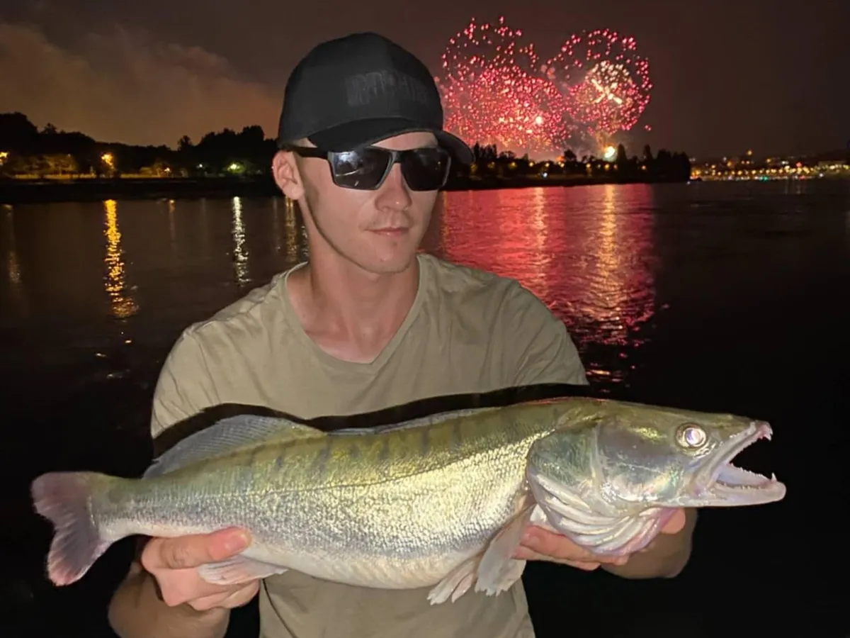 tűzijáték süllő