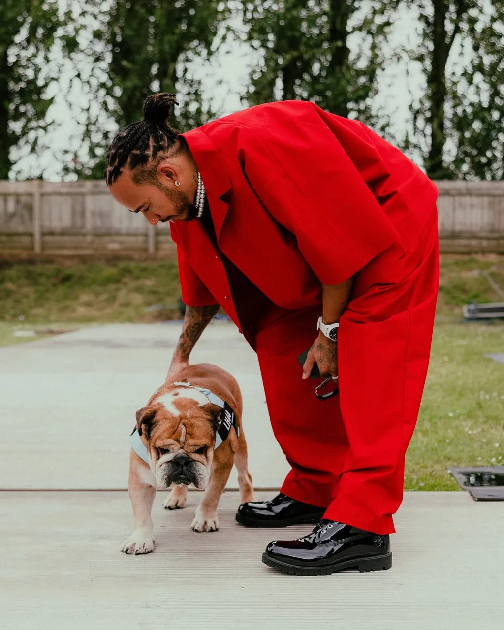Lewis Hamilton kutyája, Roscoe