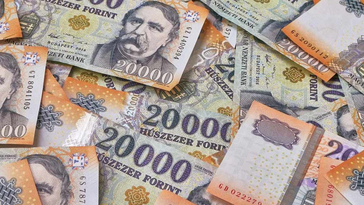 forint, bankjegy, vagyon