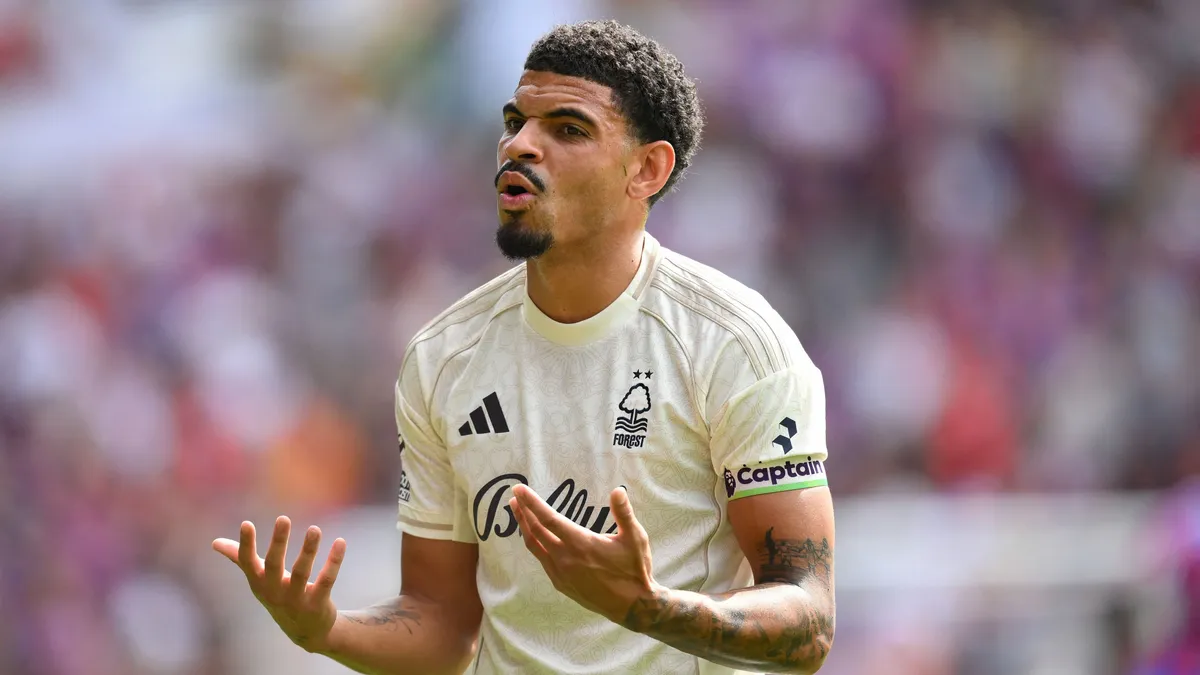 Fradi ellenfele bíróság előtt: Morgan Gibbs-White (Nottingham Forest) a kutyája miatt került bajba