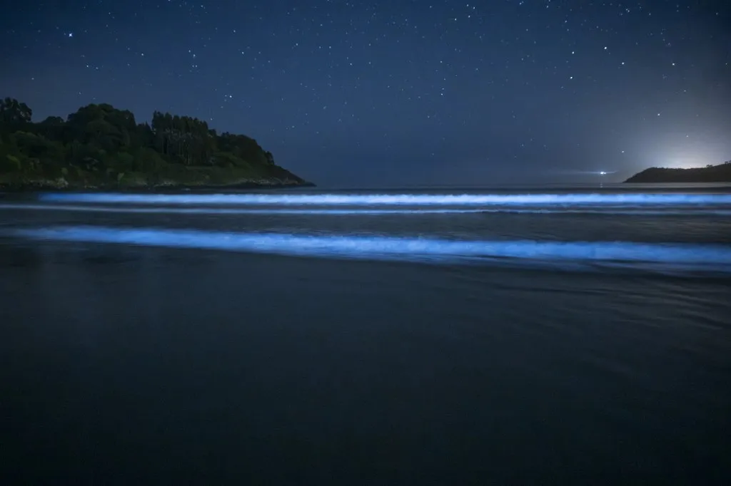 A NASA műholdfelvételén a fitoplankton biolumineszcenciája világította be az óceánt Ausztrália és Tasmánia között.