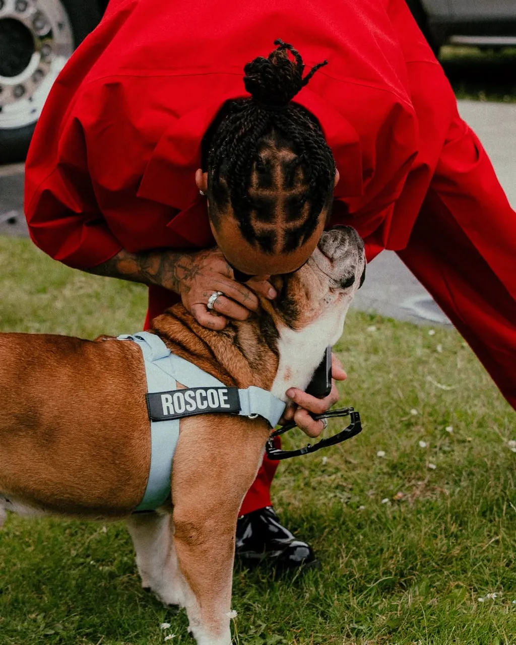 Lewis Hamilton kutyája, Roscoe