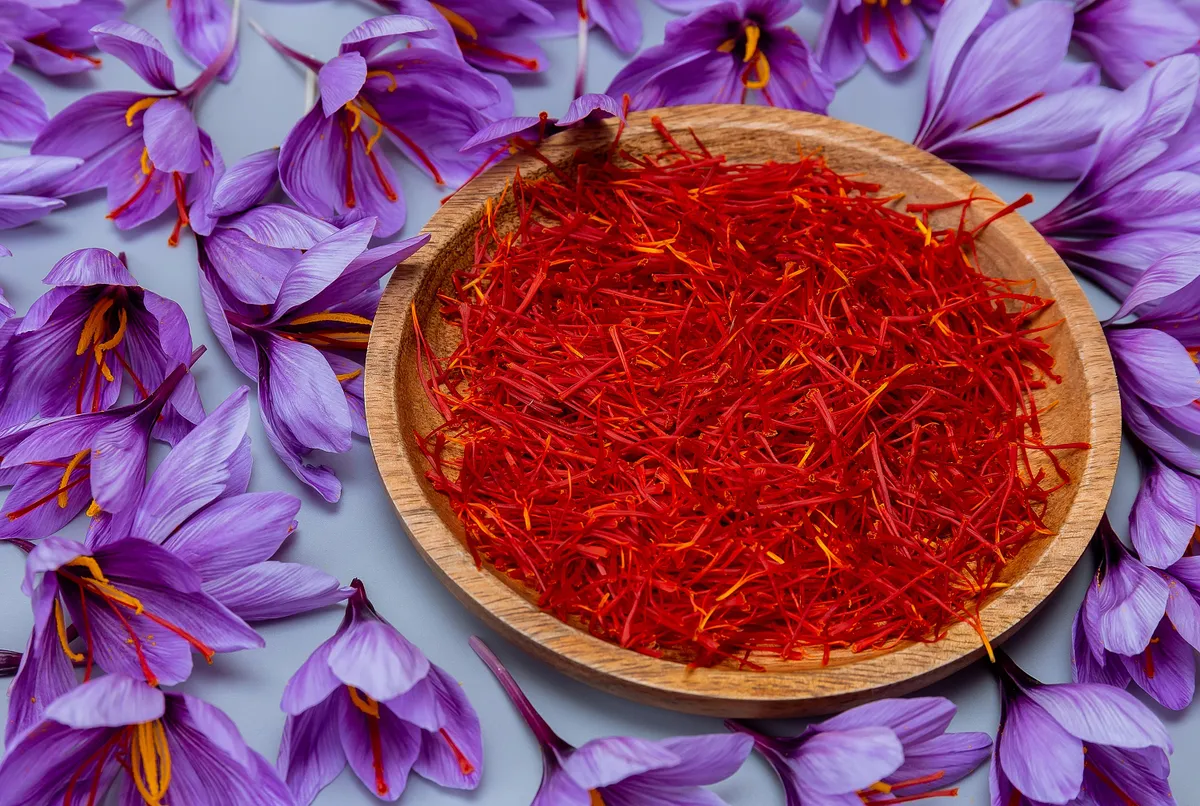Saffron stamens and crocus flowers. Background from flowers.