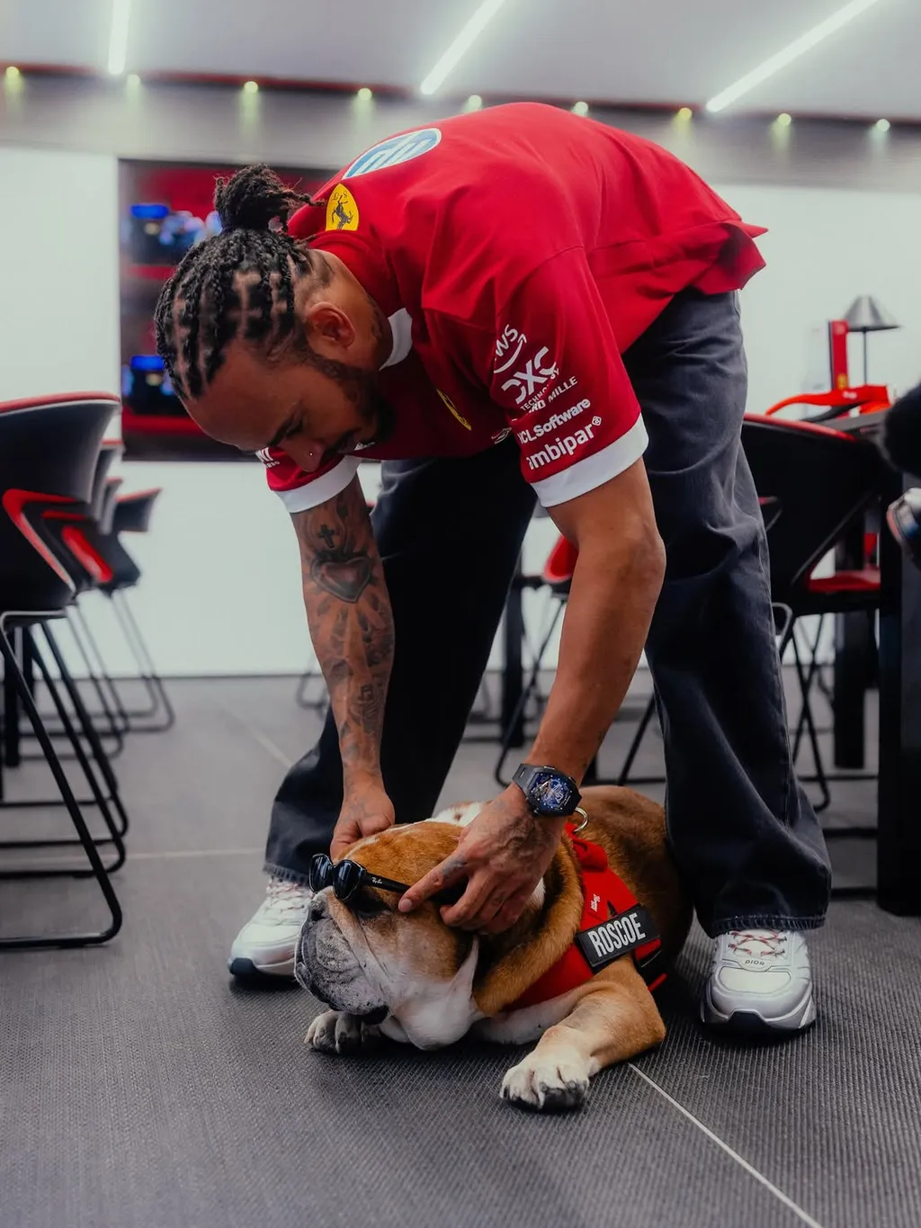 Lewis Hamilton kutyája, Roscoe