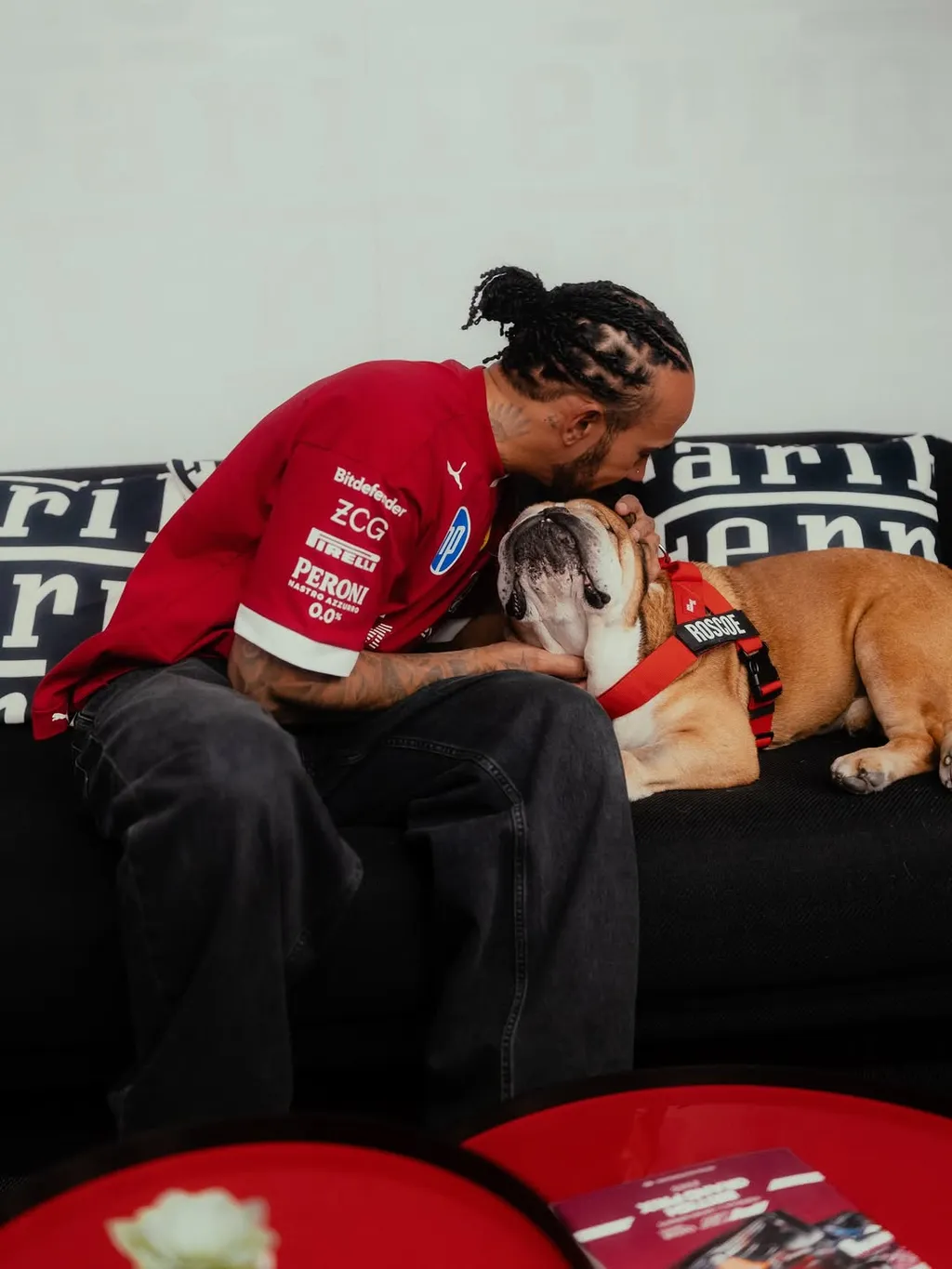 Lewis Hamilton kutyája, Roscoe