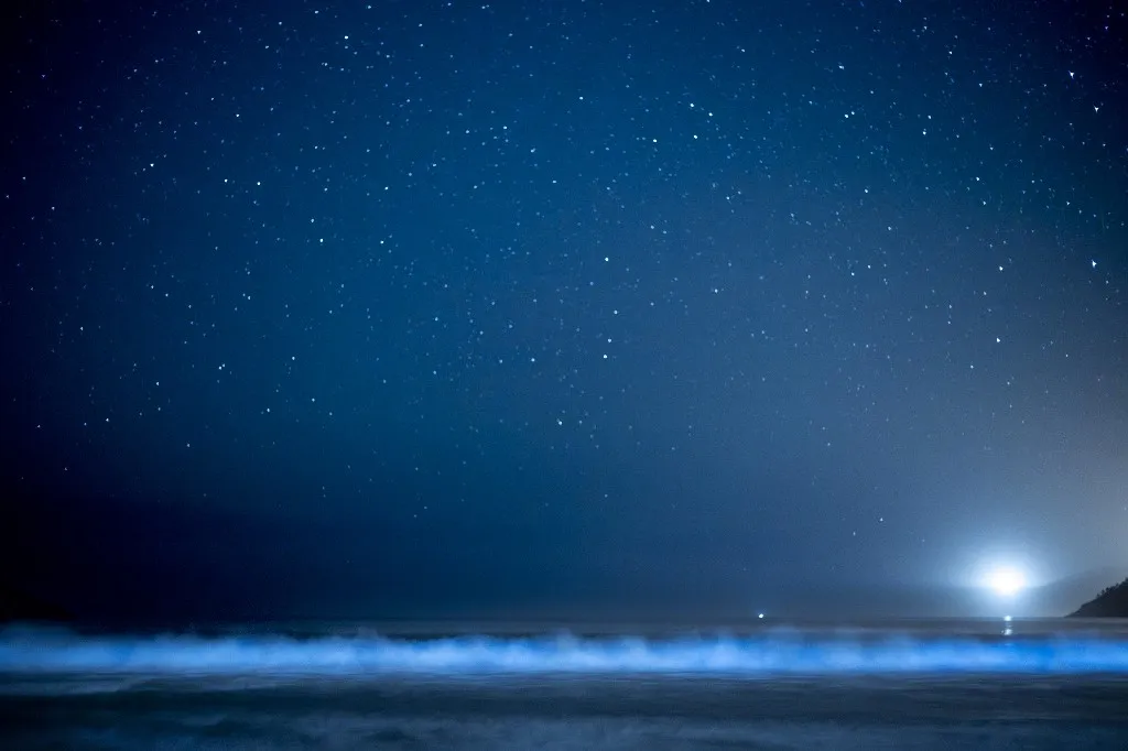 A NASA műholdfelvételén a fitoplankton biolumineszcenciája világította be az óceánt Ausztrália és Tasmánia között.