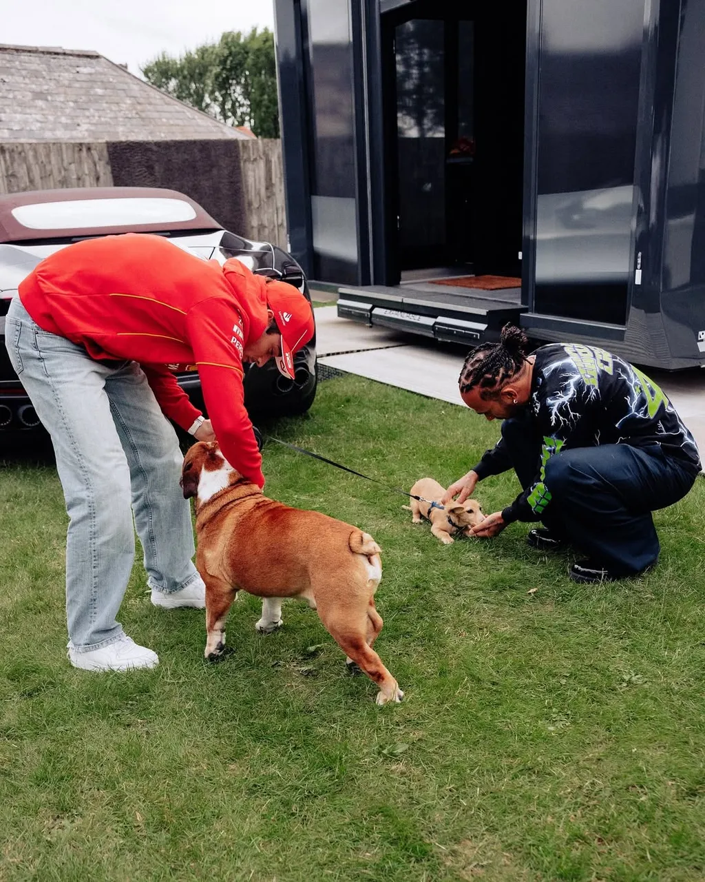 Lewis Hamilton kutyája, Roscoe