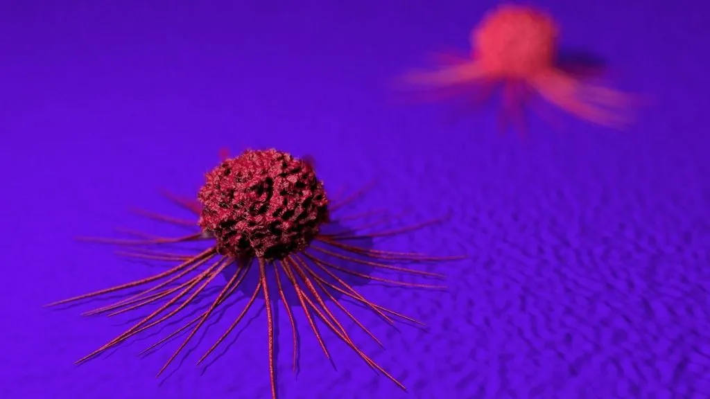 Clumping Science Ráksejtek szaporodását gátolja a rendszeres testmozgás - ORIGO