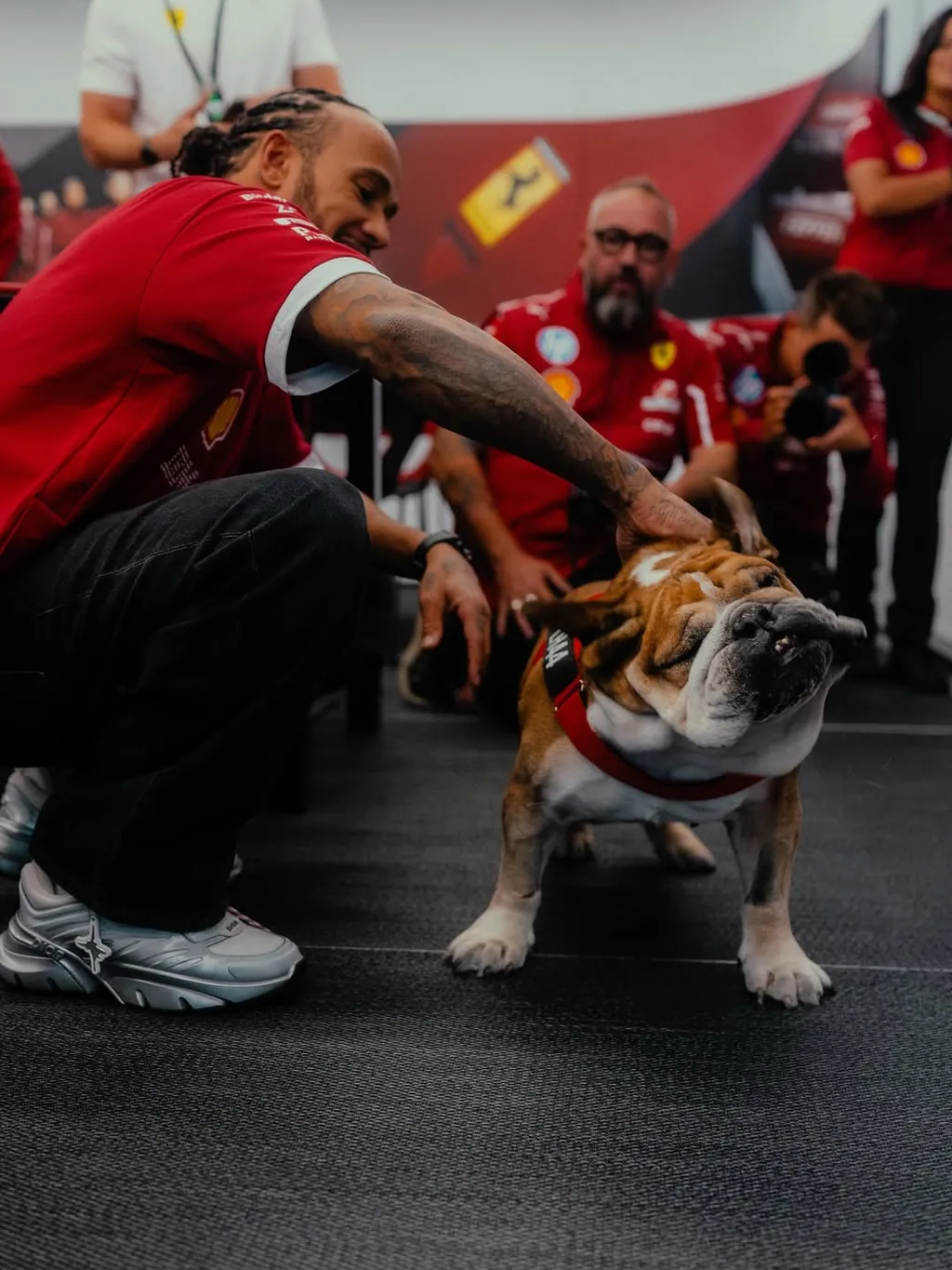 Lewis Hamilton kutyája, Roscoe