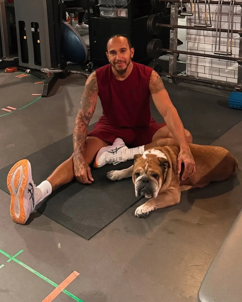 Lewis Hamilton kutyája, Roscoe