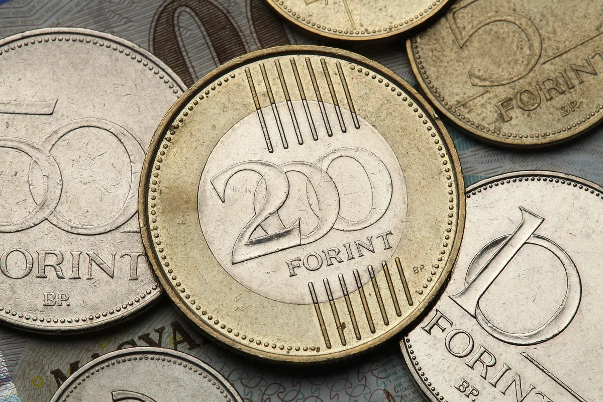 Ritka 200 forintos érme, úgynevezett hosszú vízvonalas verdehibás változat, amelyből mindössze 1200 darabot vertek.