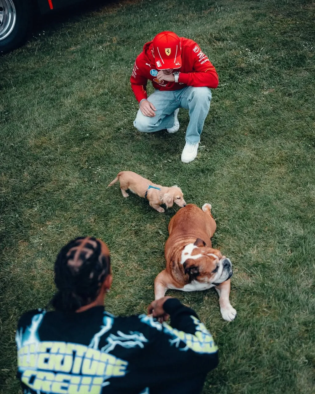 Lewis Hamilton kutyája, Roscoe