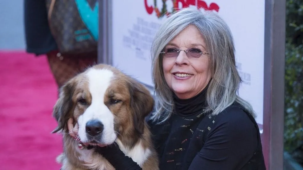 (FILES) Actress Diane Keaton attends the Premiere of "Love the Coopers", in Los Angeles, California, on November 12, 2015. According to People magazine reports on October 11, 2025, US actress Diane Keaton, known for her Oscar-winning performance in 1977's "Annie Hall" and her role in "The Godfather" films, has died at age 79. (Photo by Valerie MACON / AFP)
