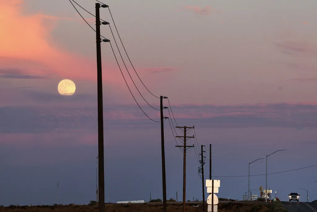 Vadász hold, telihold