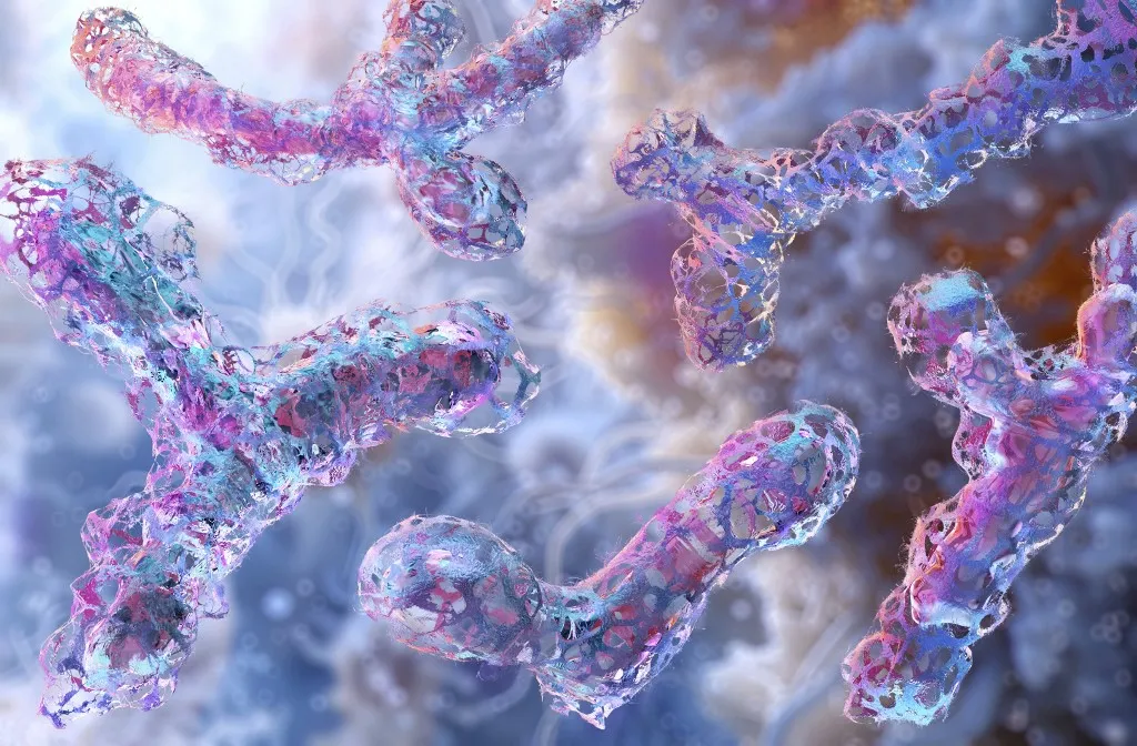 Bifidobacterium bacteria, illustration. Bifidobacterium is a probiotic that contributes to gut health and is important for digestion and immunity. It supports a balanced intestinal flora and may improve overall wellness. (Photo by RUSLANAS BARANAUSKAS/SCIENCE PHO / RBU / Science Photo Library via AFP)