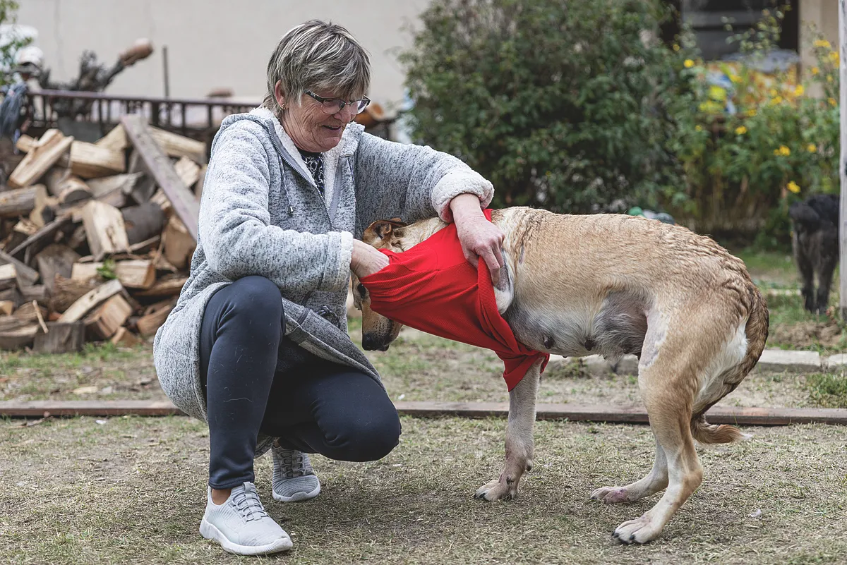 Laki Mancs Állatvédelmi Egyesület, LakiMancsÁllatvédelmiEgyesület, Lakitelek